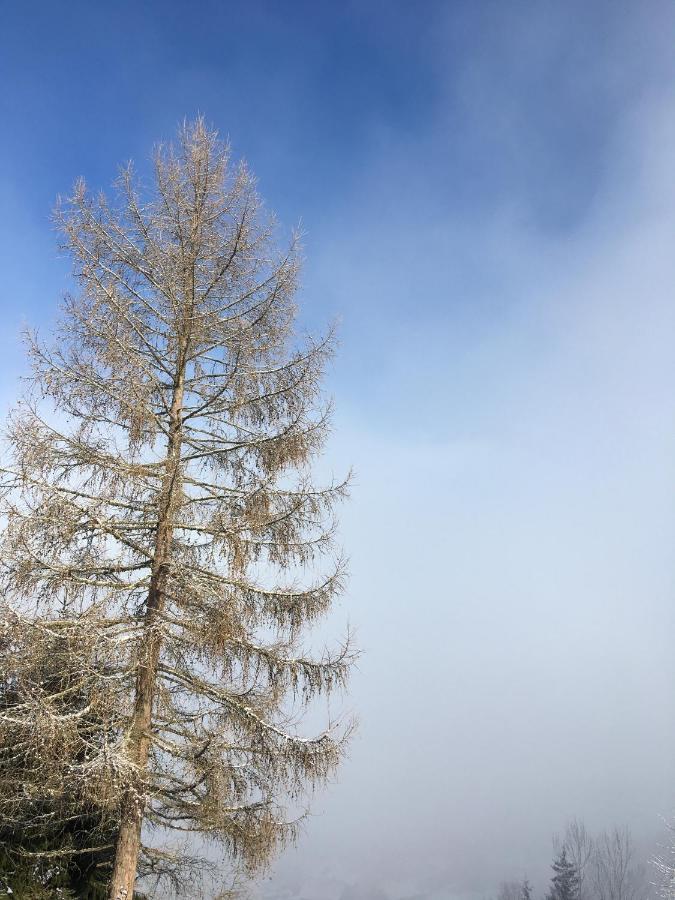 Grimming Appartement Schladming Sonnberg  المظهر الخارجي الصورة