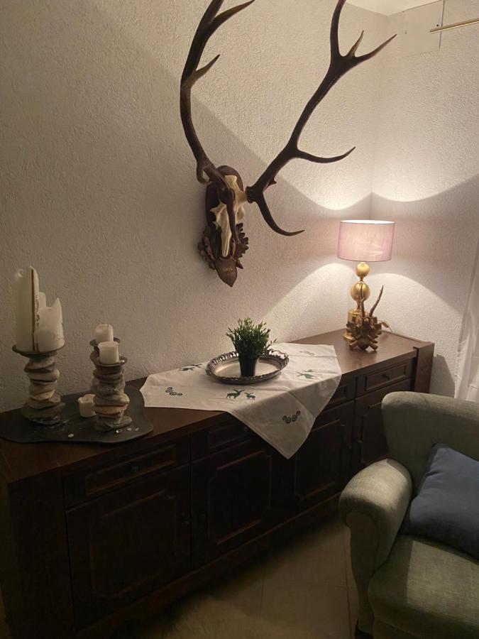 Grimming Appartement Schladming Sonnberg  المظهر الخارجي الصورة